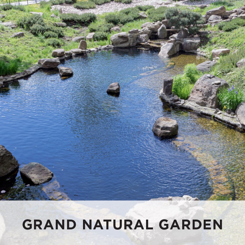 DIY Pond and Water Garden | Australia | Build Your Pond