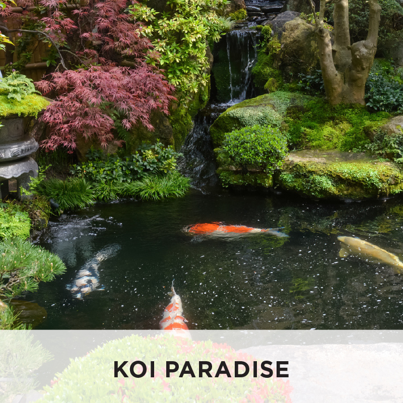 Large Garden Pond Ideas Australia Build Your Pond
