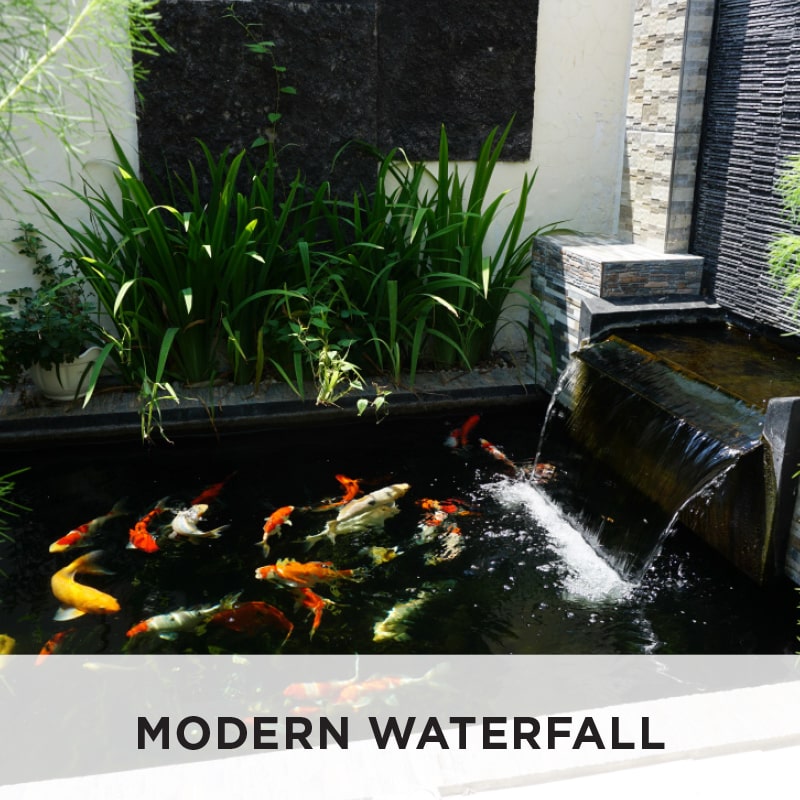 DIY Pond and Water Garden | Australia | Build Your Pond