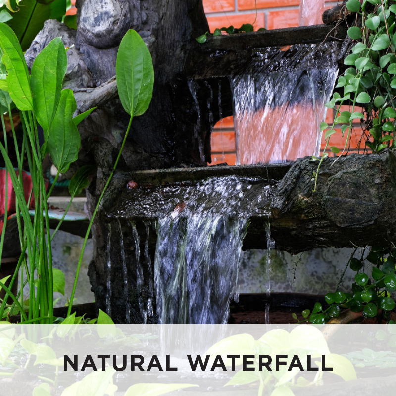 DIY Pond and Water Garden | Australia | Build Your Pond