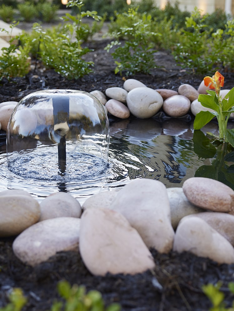 DIY Pond and Water Garden | Australia | Build Your Pond