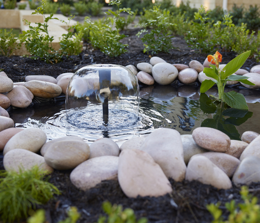 DIY Pond and Water Garden | Australia | Build Your Pond