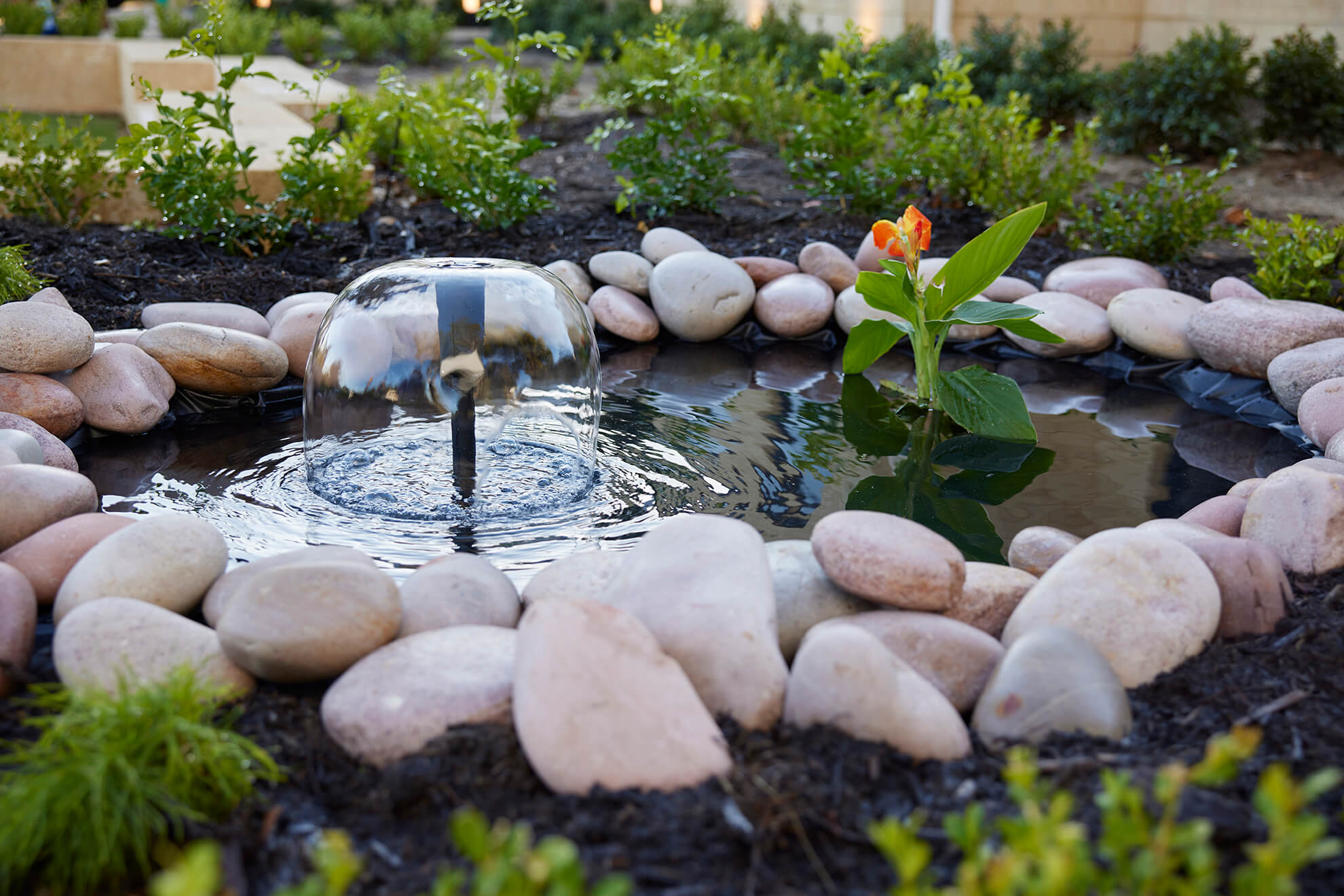 DIY Pond and Water Garden | Australia | Build Your Pond