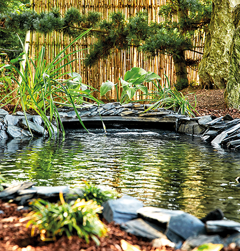 DIY Pond and Water Garden | Australia | Build Your Pond